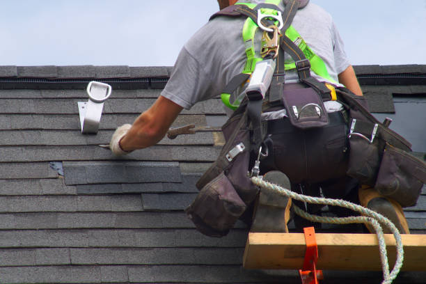 Best Gutter Installation and Roofing  in Branchville, SC