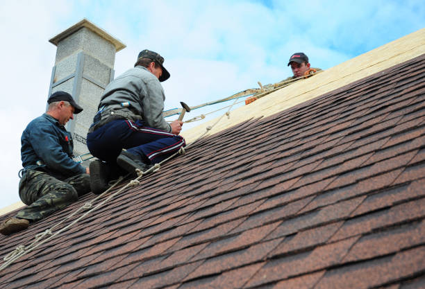 Gutter Installation and Roofing in Branchville, SC